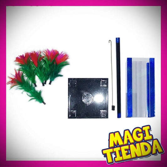 Aparición de flores