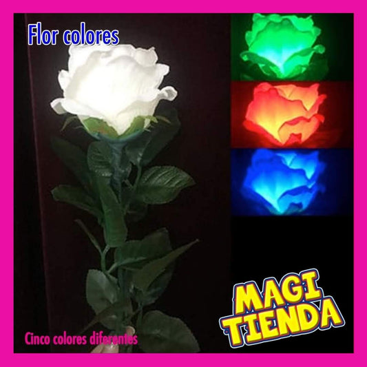 Flor de luz, 5 colores