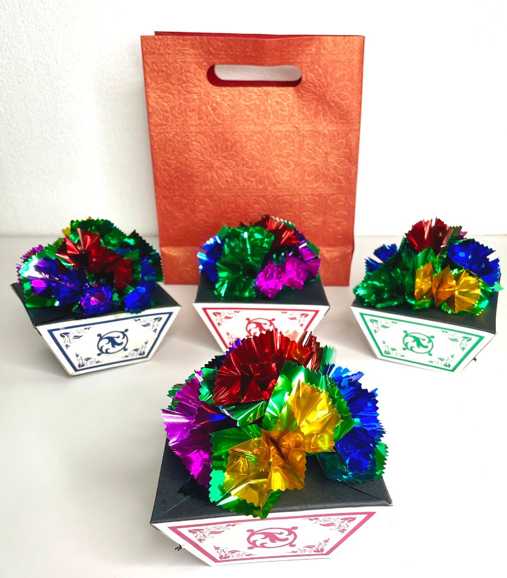 aparicion de macetas de flores