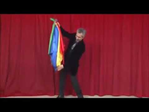 Aparición de maceta Tora Magic